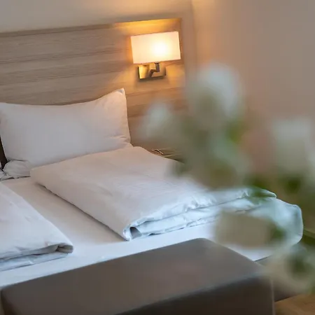 Garni Roessli - Velofreundlich - Free Parking Hotel 3*