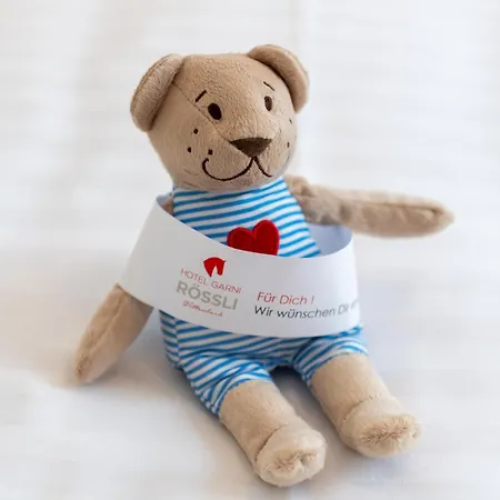 Hotel Garni Roessli 3*