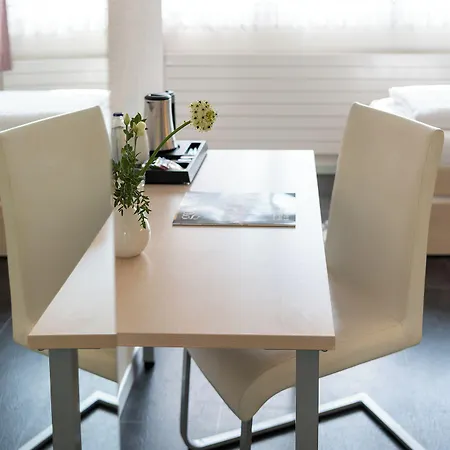 Hotel Garni Roessli 3*