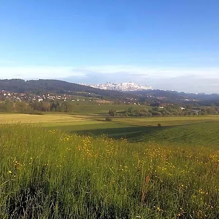 מלון Garni Roessli - Velofreundlich - Free Parking 3*