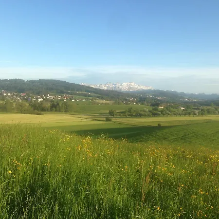 Garni Roessli - Velofreundlich - Free Parking 3* Wittenbach