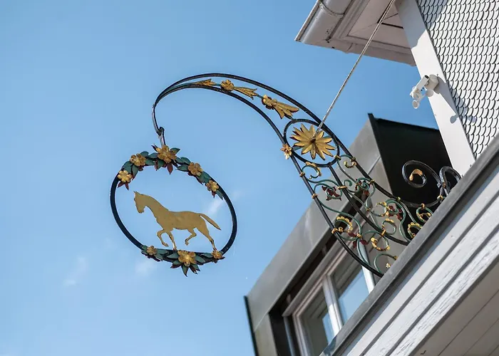 Hotel Garni Roessli 3*