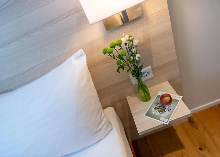 Hotel Garni Roessli 3*