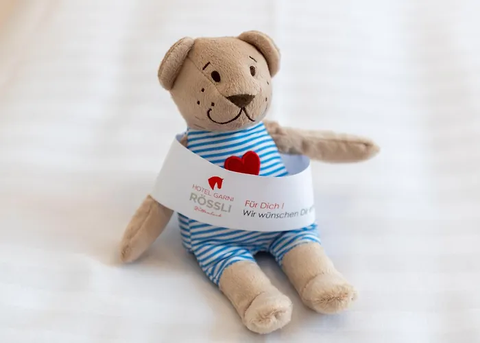 Hotel Garni Roessli 3*