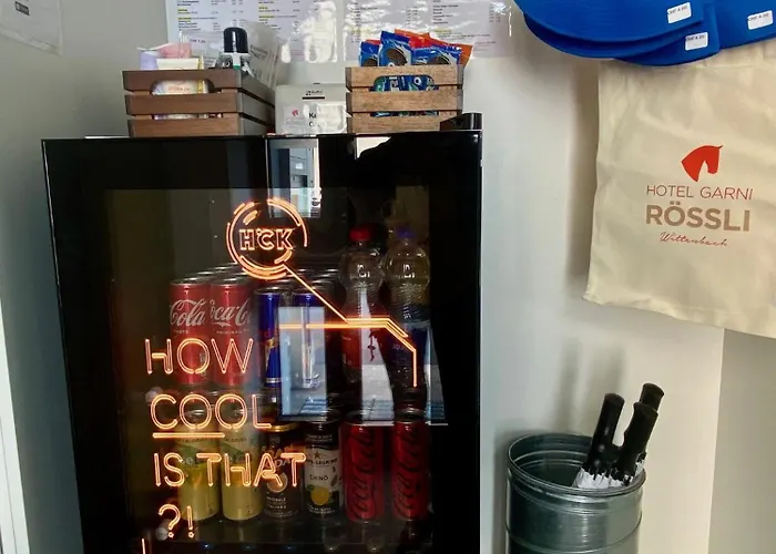 Hotel Garni Roessli 3*